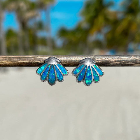 Sea Shell Earrings
