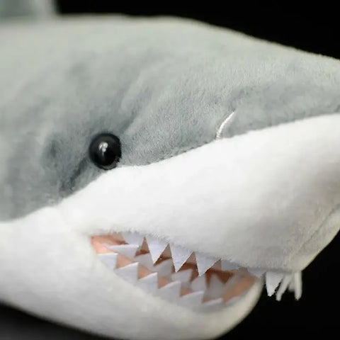 Plush Shark