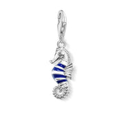 Seahorse Elegance Charm